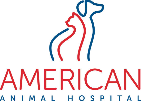American Animal Hospital